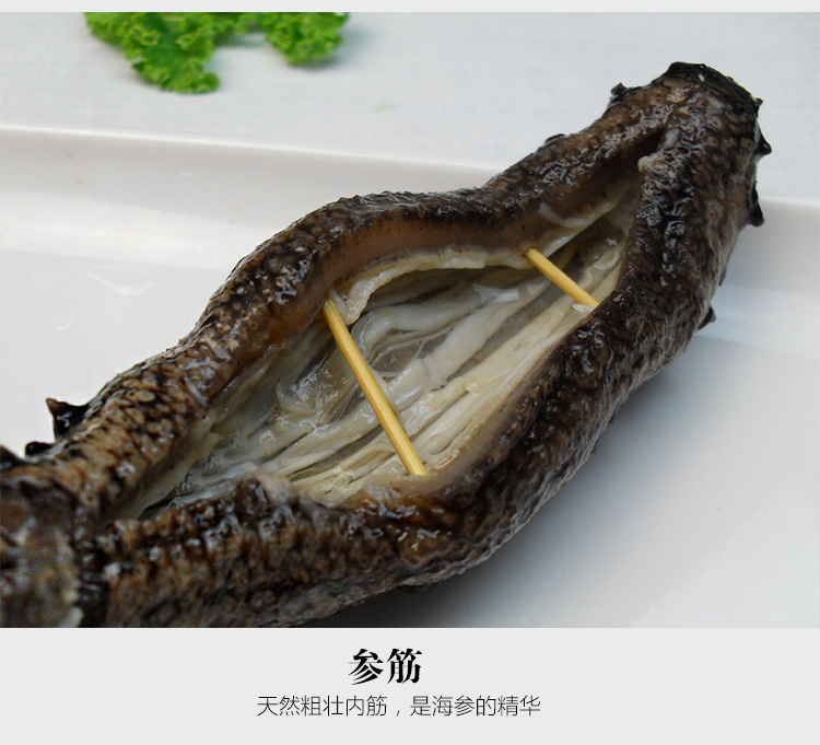 TB27plhnFXXXXXgXXXXXXXXXXXX_!!381646526