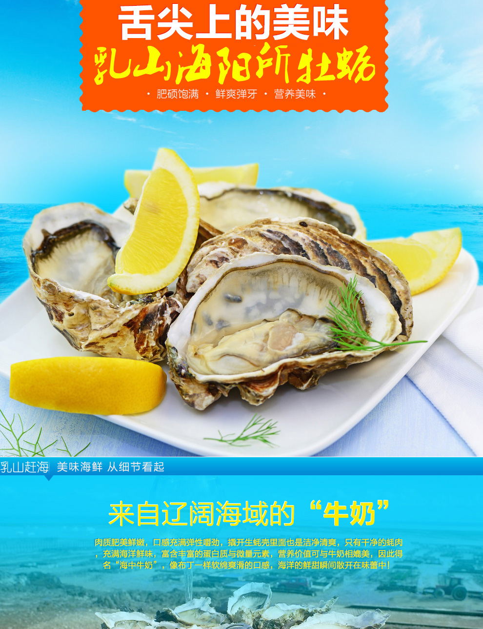 TB2f5Ehbg1I.eBjSszeXXc2hpXa_!!2681108392